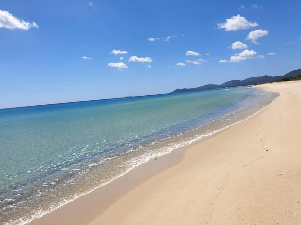 Вилла Myricae - Una Terrazza A Due Passi Dal Mare Коста Рей Экстерьер фото